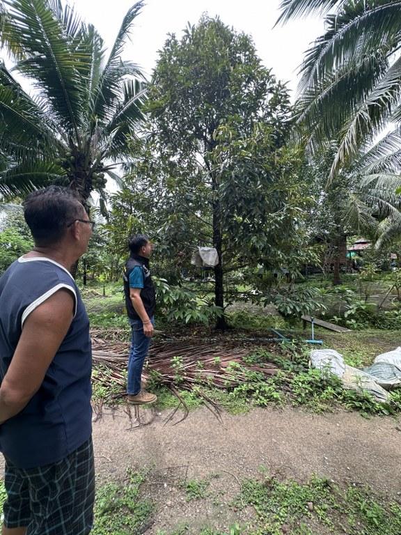 ภาพประกอบที่ 6