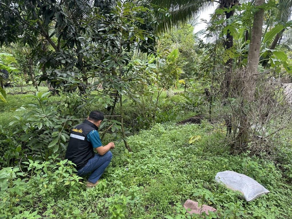 ภาพประกอบที่ 7