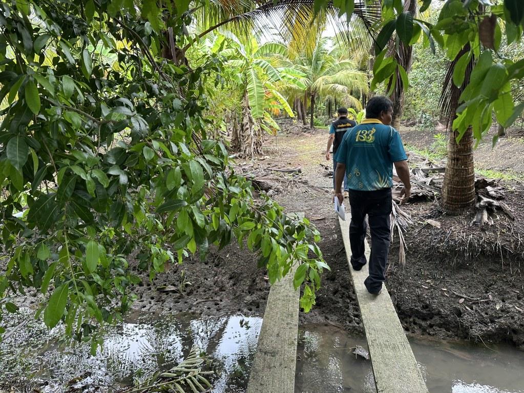 ภาพประกอบที่ 10