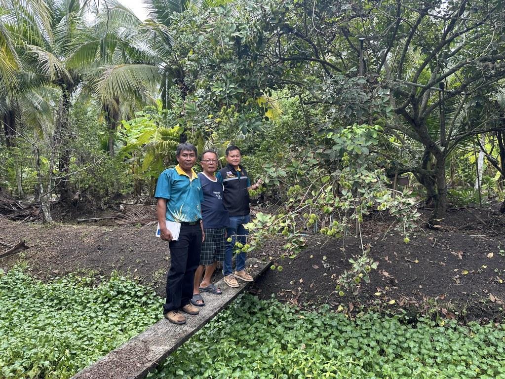 ภาพประกอบที่ 12