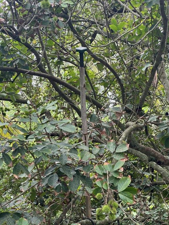 ภาพประกอบที่ 13