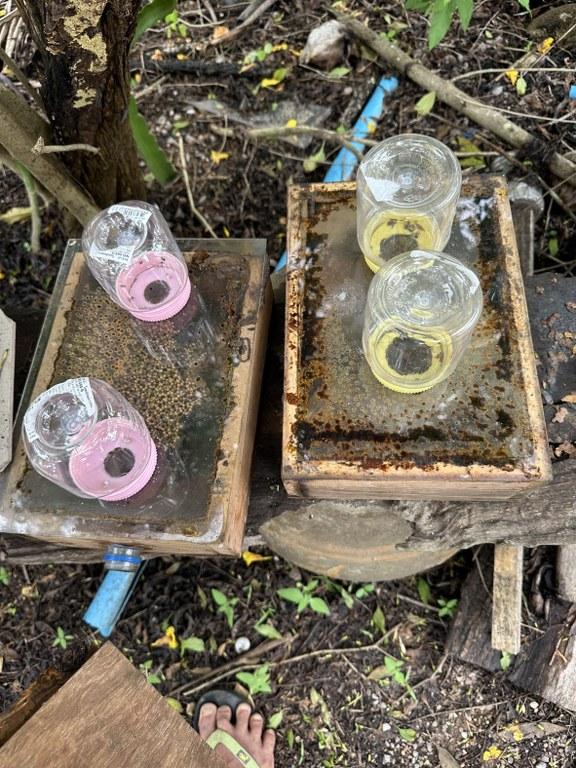 ภาพประกอบที่ 15