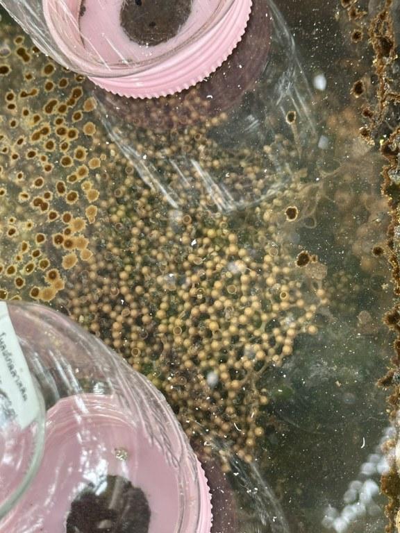 ภาพประกอบที่ 16