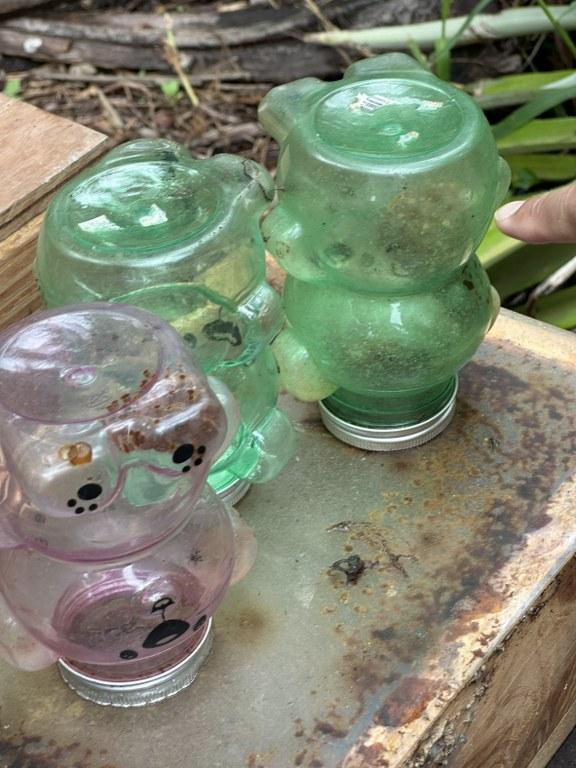 ภาพประกอบที่ 17