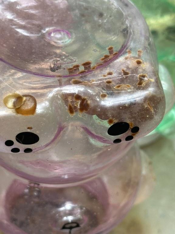 ภาพประกอบที่ 19