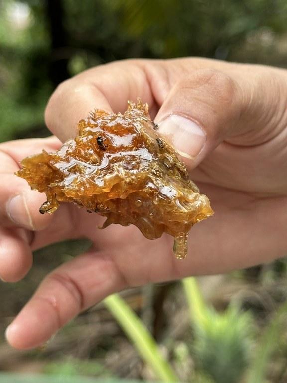 ภาพประกอบที่ 21