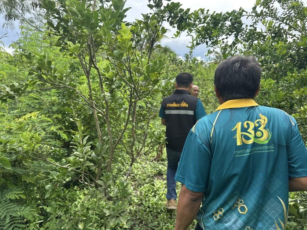 ภาพประกอบที่ 27