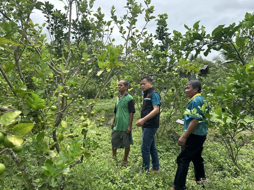 ภาพประกอบที่ 28