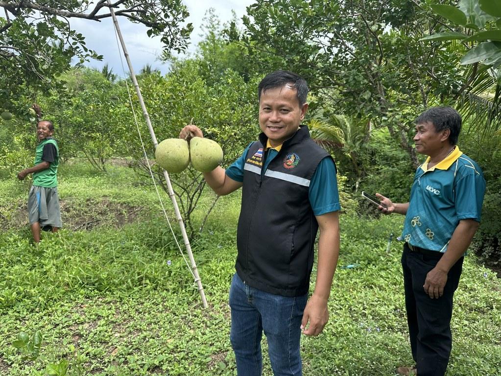 ภาพประกอบที่ 29