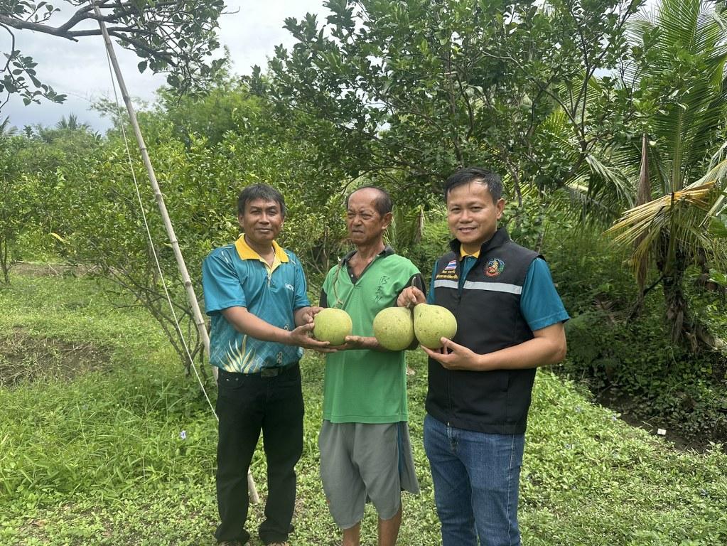 ภาพประกอบที่ 30