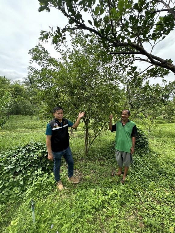 ภาพประกอบที่ 31