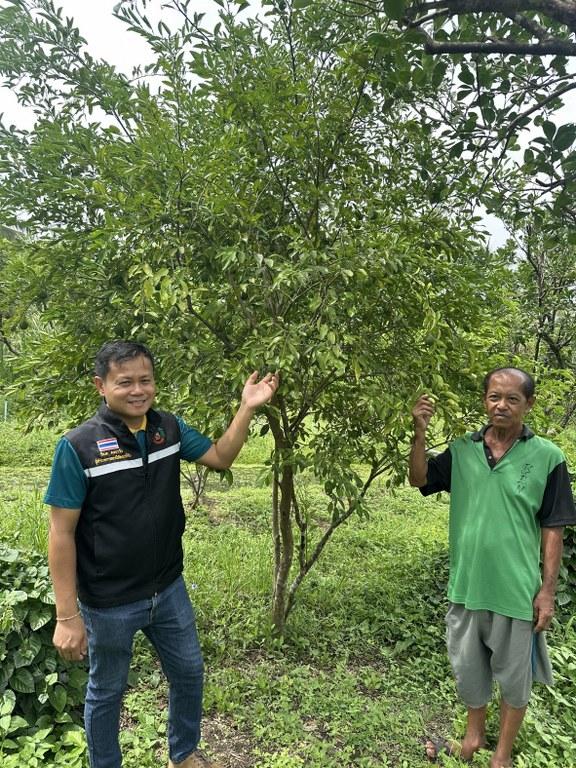 ภาพประกอบที่ 32