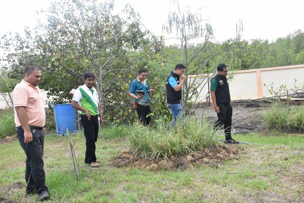 ภาพประกอบที่ 27