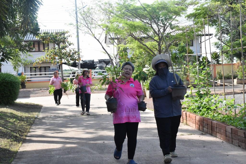 ภาพประกอบที่ 0