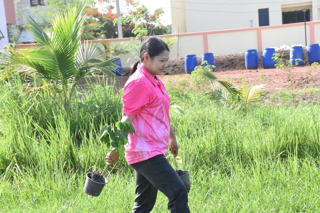 ภาพประกอบที่ 4