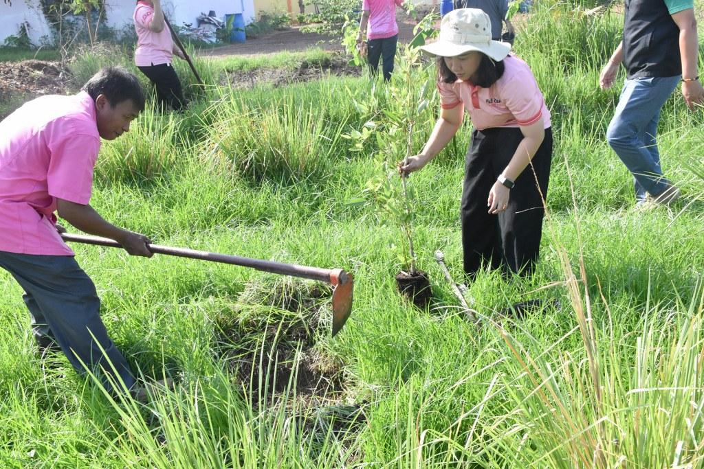 ภาพประกอบที่ 6
