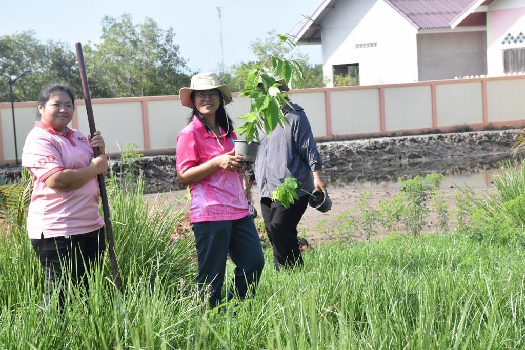 ภาพประกอบที่ 8