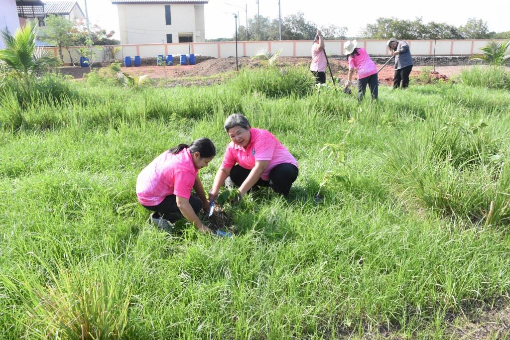 ภาพประกอบที่ 12