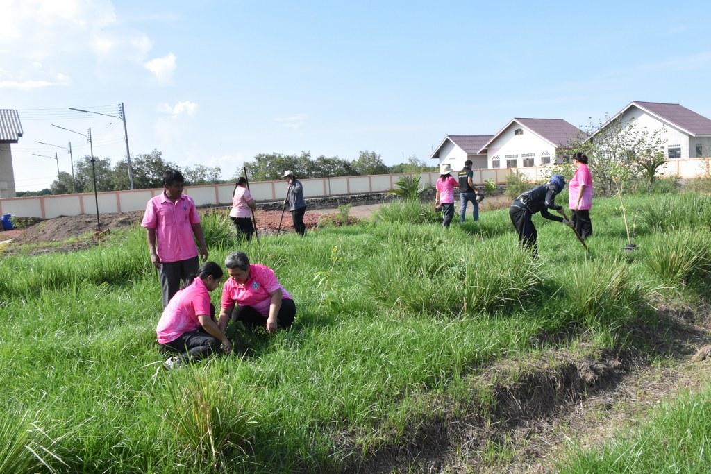 ภาพประกอบที่ 13