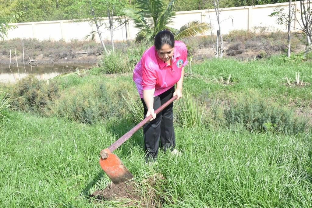 ภาพประกอบที่ 21