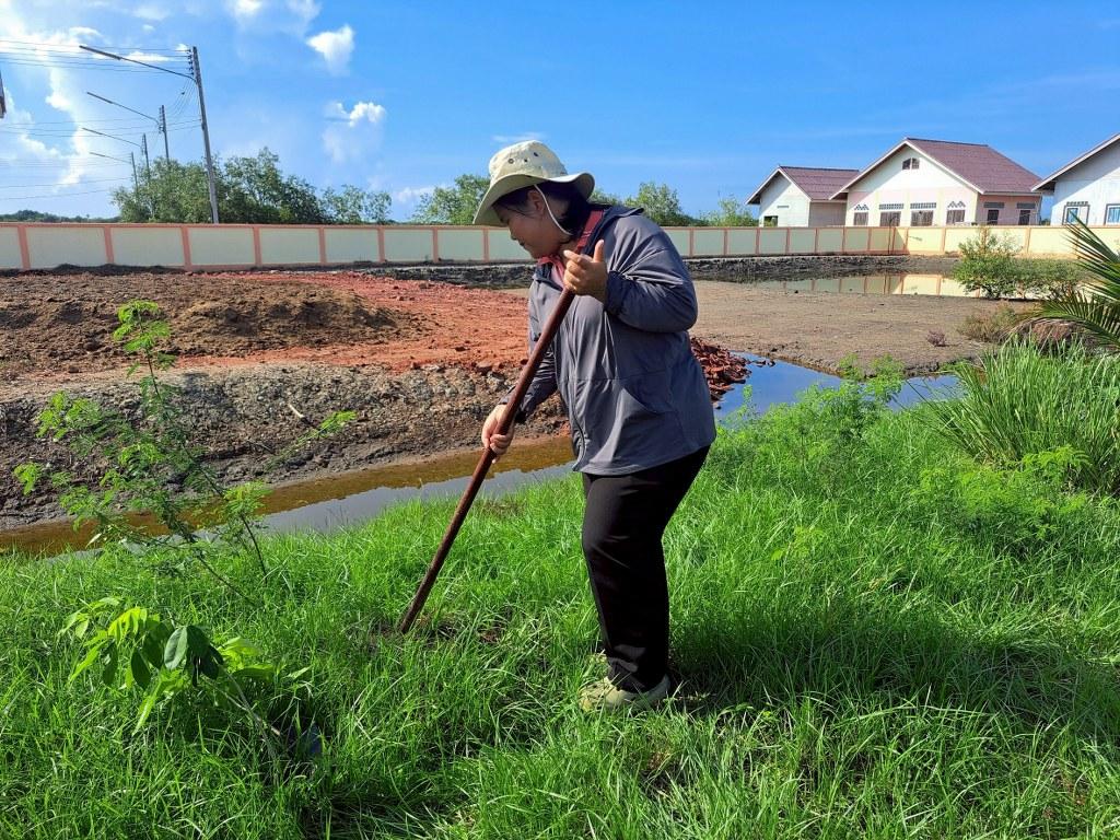ภาพประกอบที่ 25