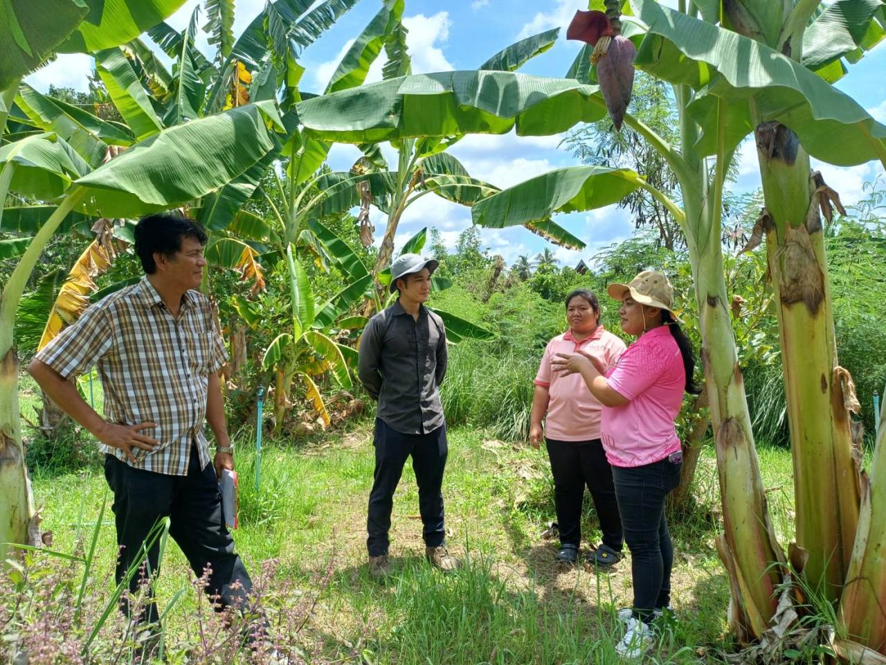 ภาพประกอบที่ 6