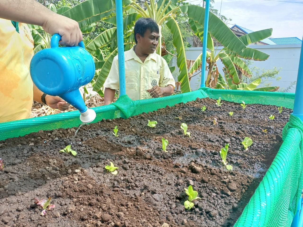 ภาพประกอบที่ 0