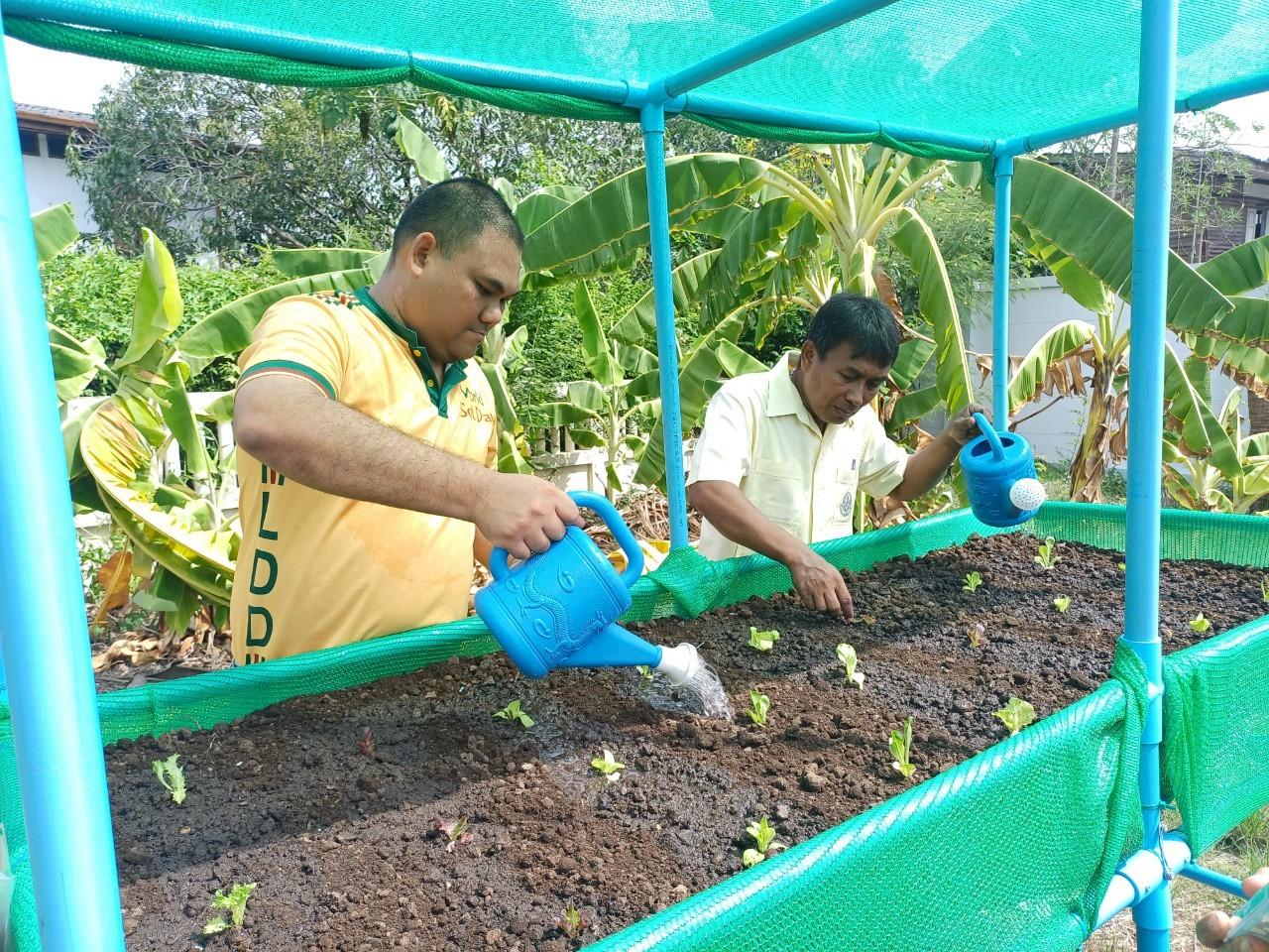 ภาพประกอบที่ 1