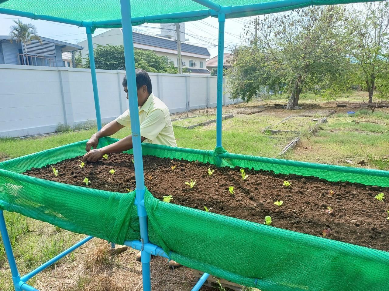 ภาพประกอบที่ 2