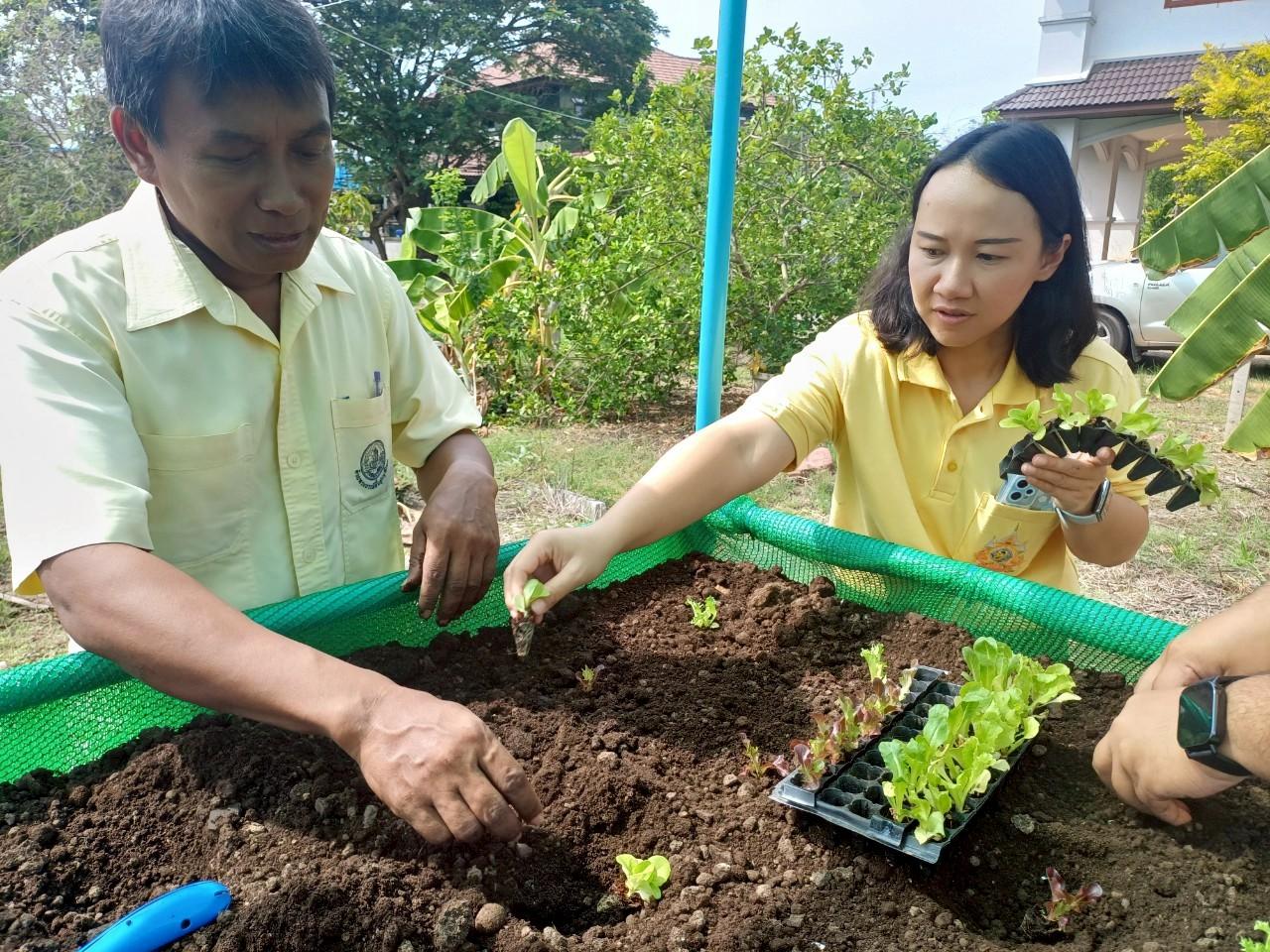 ภาพประกอบที่ 5