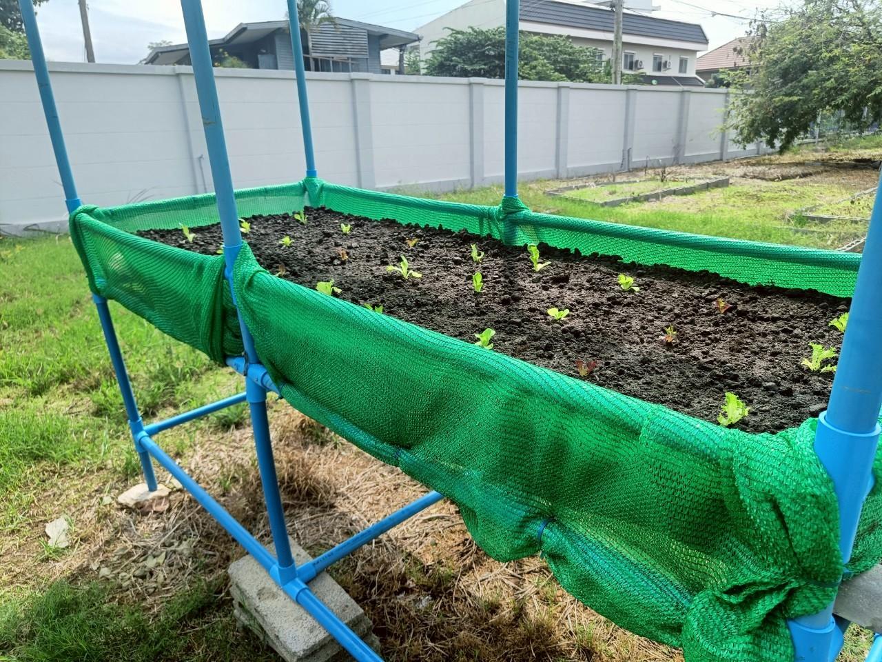 ภาพประกอบที่ 9