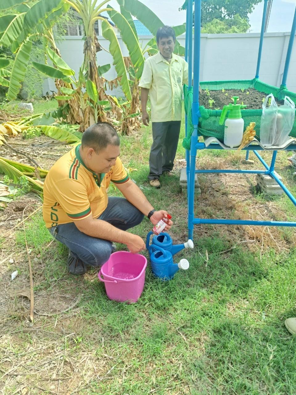 ภาพประกอบที่ 11