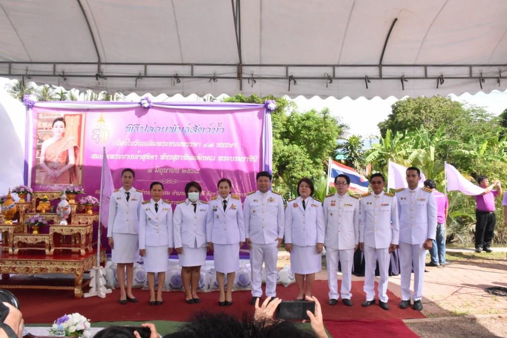 ภาพประกอบที่ 13