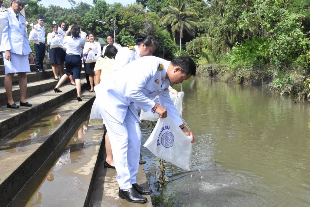 ภาพประกอบที่ 16