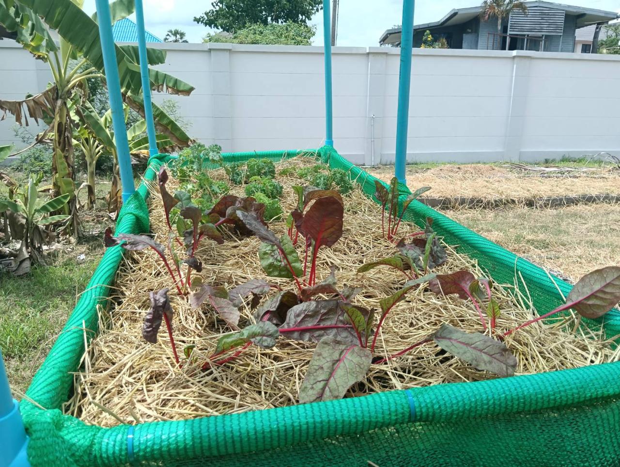 ภาพประกอบที่ 0