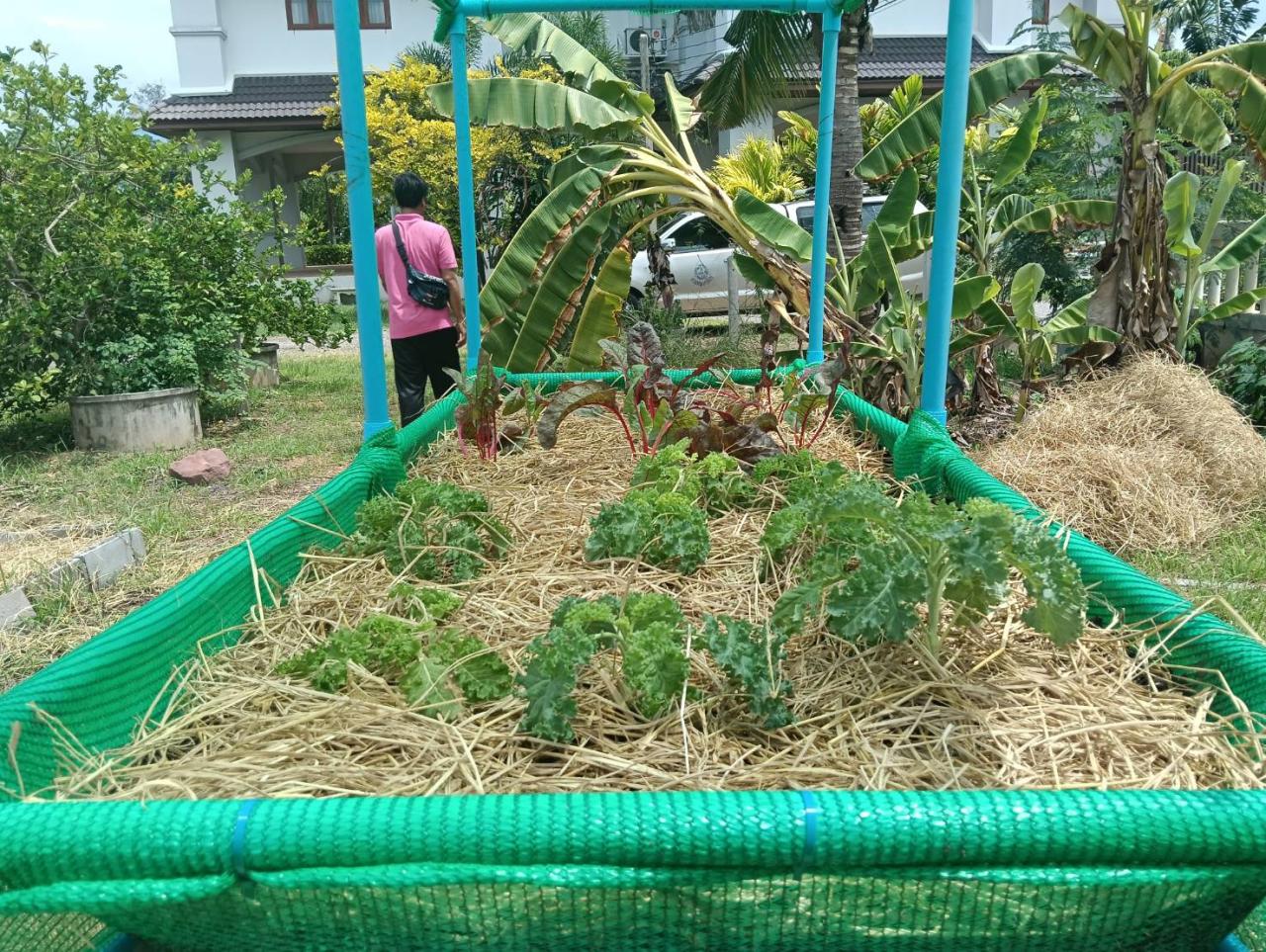 ภาพประกอบที่ 1