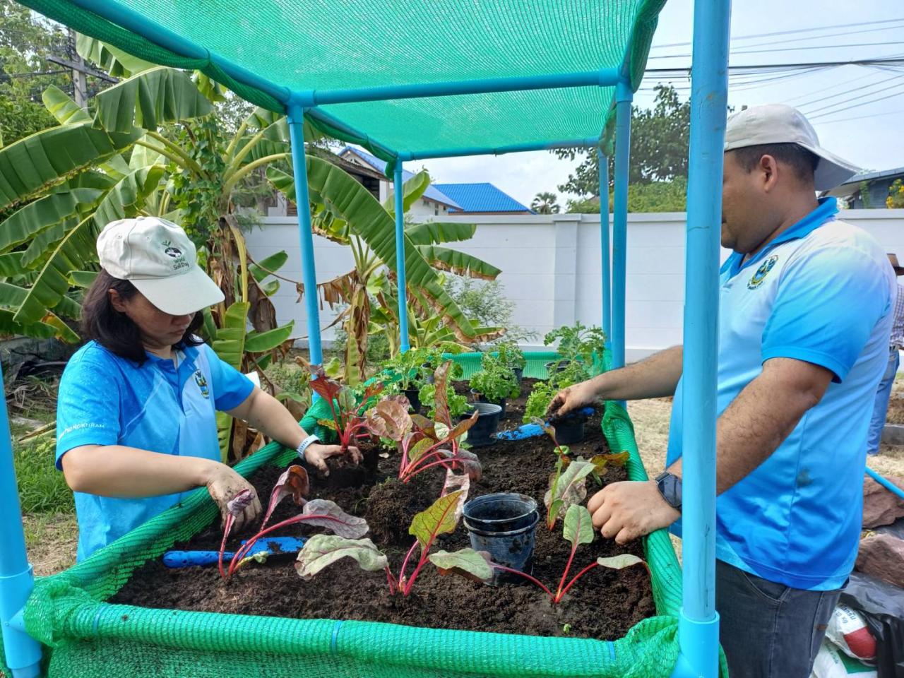 ภาพประกอบที่ 6