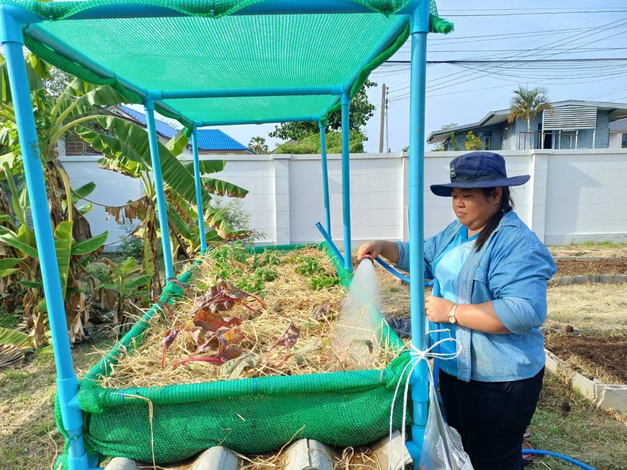 ภาพประกอบที่ 7