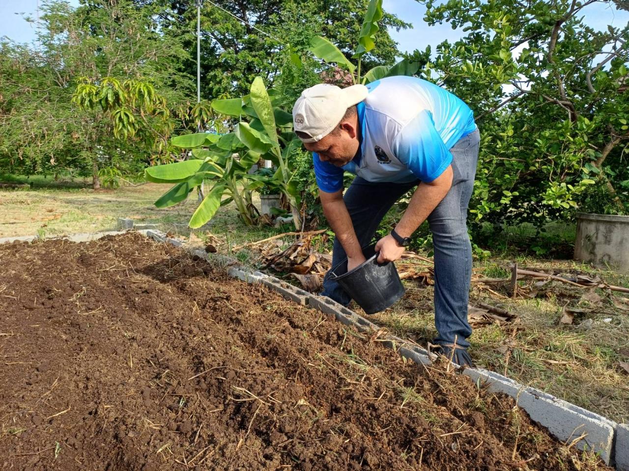 ภาพประกอบที่ 10