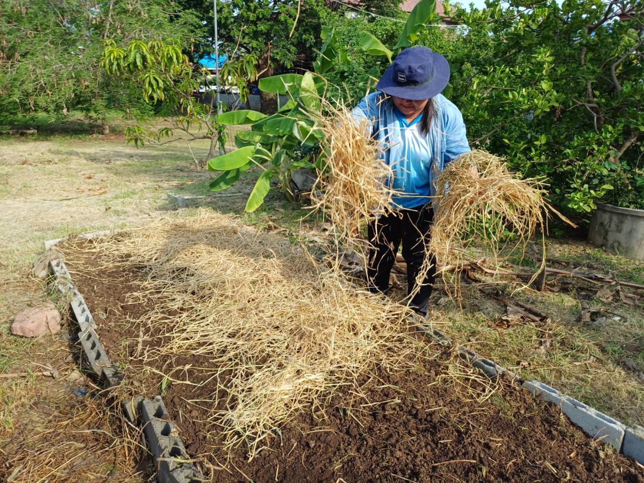 ภาพประกอบที่ 11