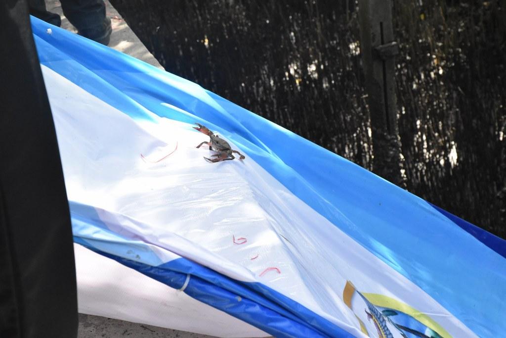 ภาพประกอบที่ 9