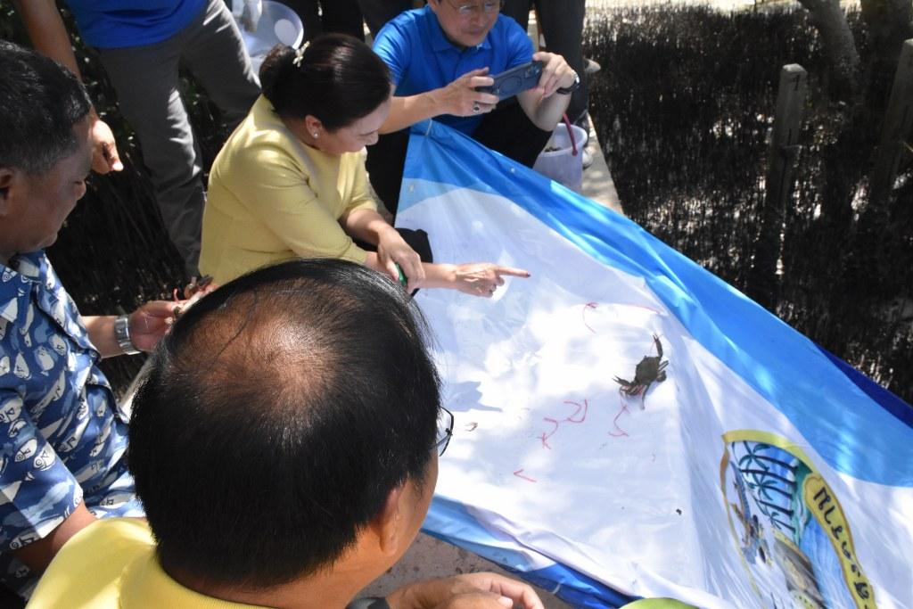 ภาพประกอบที่ 12