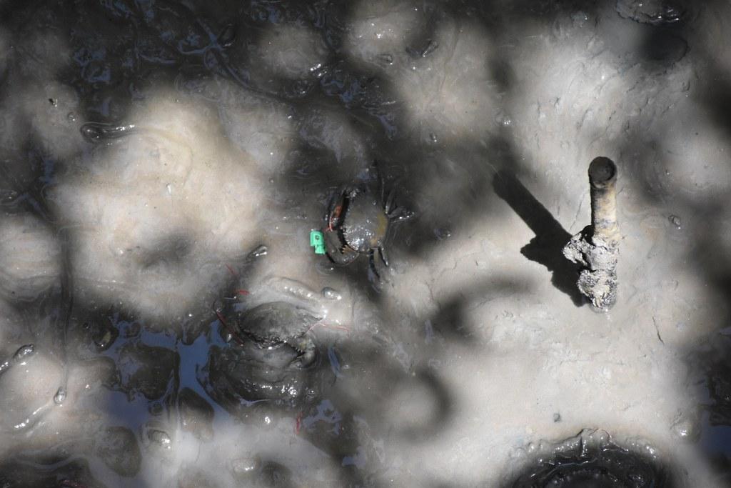 ภาพประกอบที่ 19