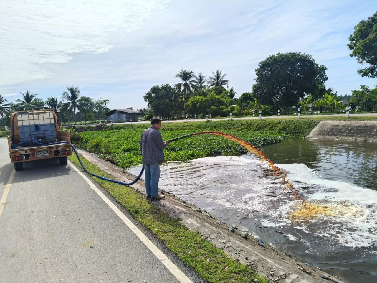 ภาพประกอบที่ 4