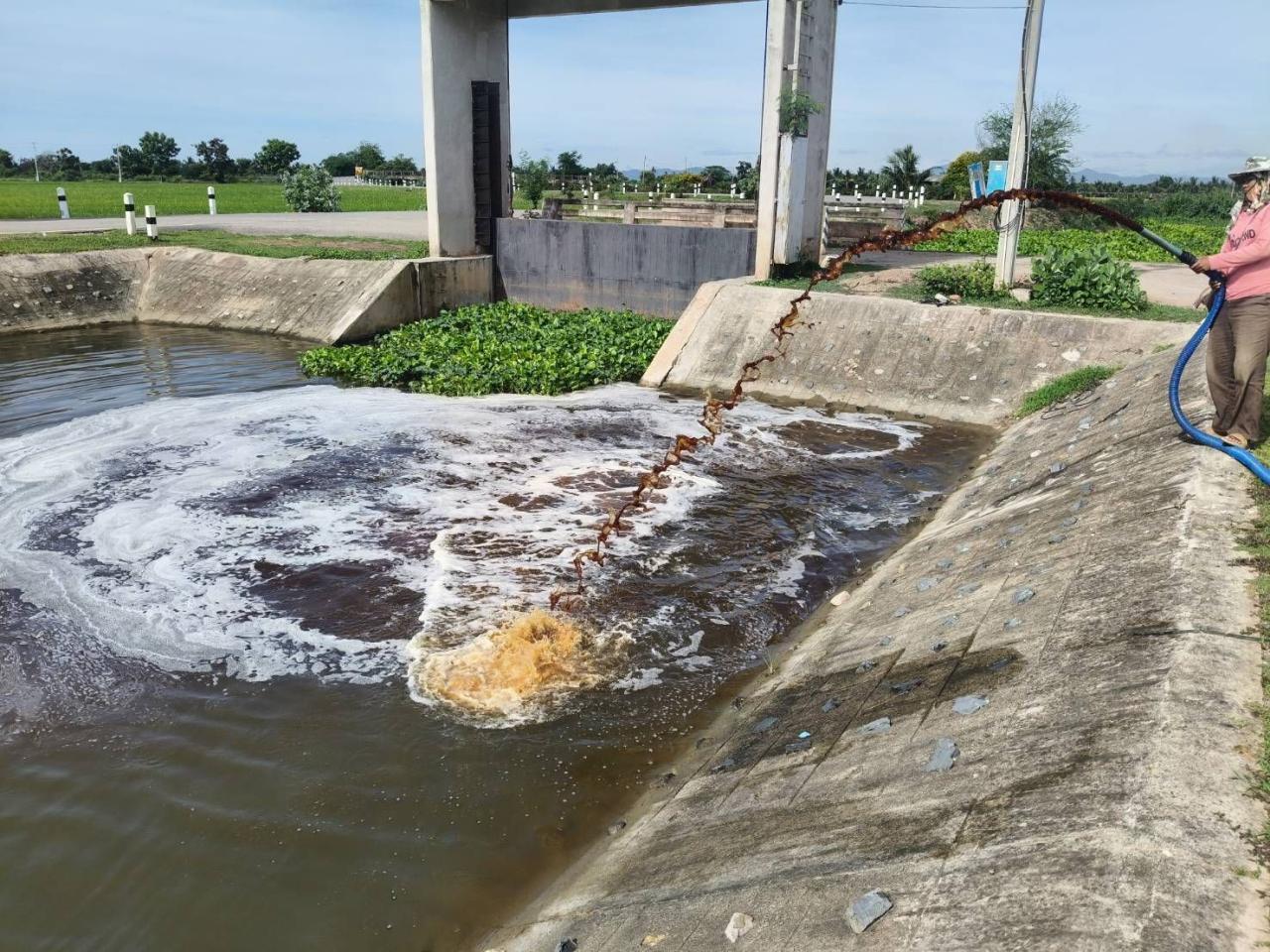 ภาพประกอบที่ 5