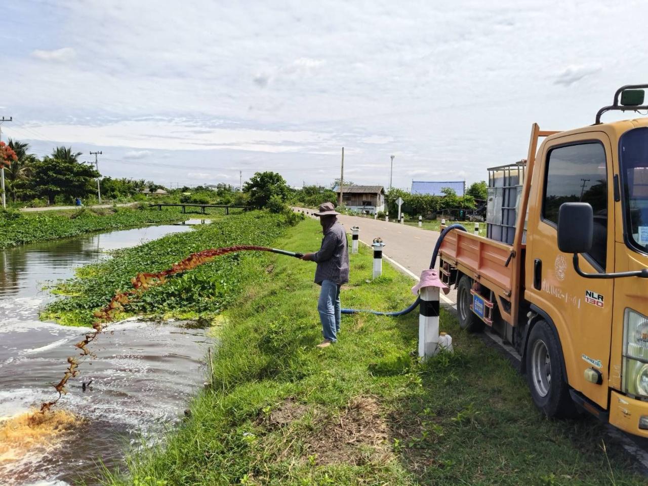 ภาพประกอบที่ 12