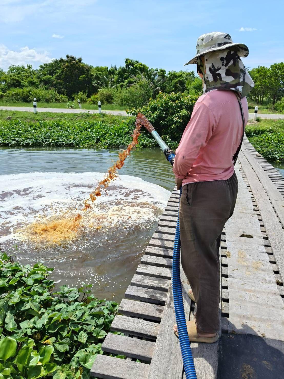 ภาพประกอบที่ 13