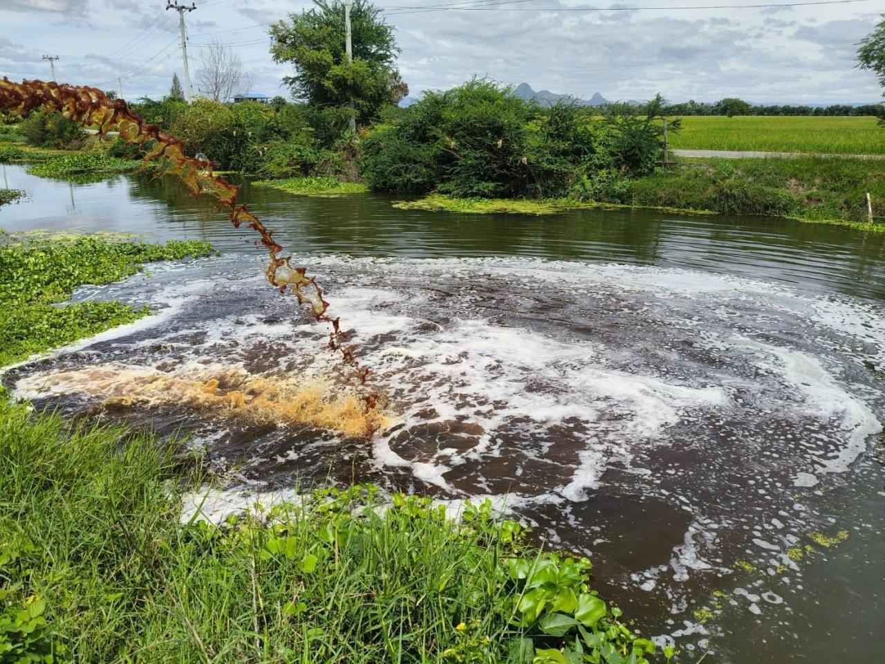 ภาพประกอบที่ 14