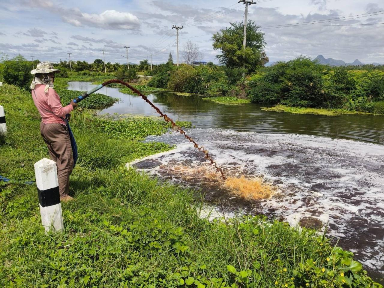 ภาพประกอบที่ 15