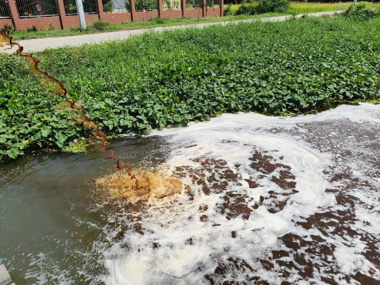 ภาพประกอบที่ 17